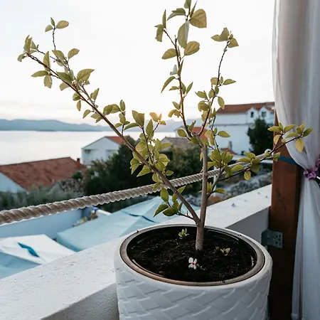 Dragobratovic Guest house
